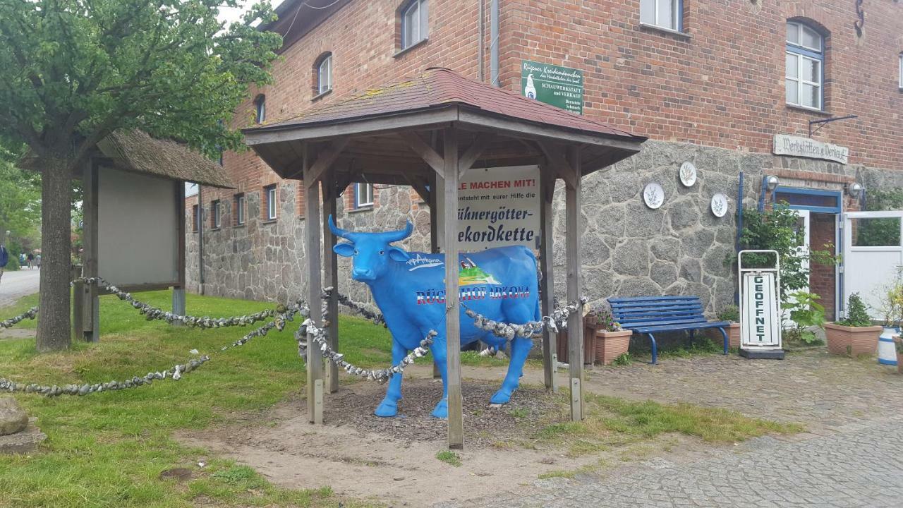 Ferienwohnung Finja In Putgarten, Kap Arkona Ruegen Eksteriør bilde
