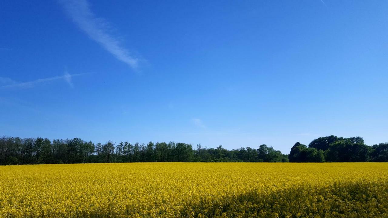 Ferienwohnung Finja In Putgarten, Kap Arkona Ruegen Eksteriør bilde